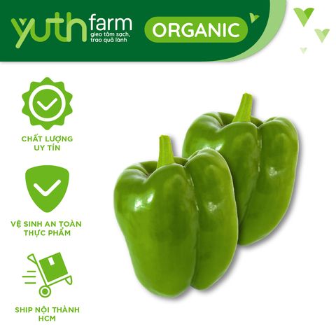  Ớt chuông xanh 