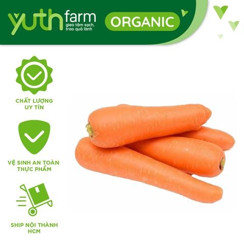  Cà rốt [Giao trong TP. Hồ Chí Minh; Trừ Cần Giờ, Hóc Môn, Củ Chi] 