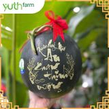  Dưa hấu khắc chữ (Mã Tết) [Giao trong TP. Hồ Chí Minh; Trừ Cần Giờ, Hóc Môn, Củ Chi] 