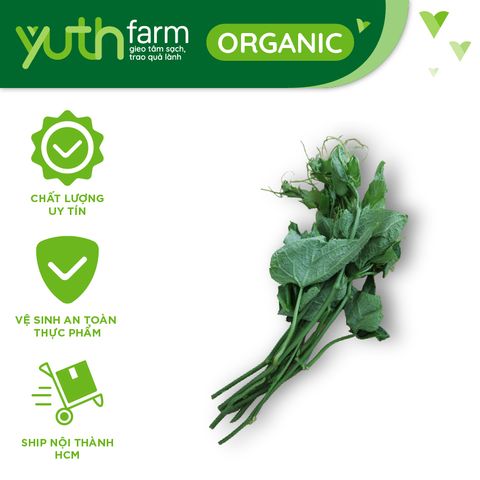  Đọt su [Giao trong TP. Hồ Chí Minh; Trừ Cần Giờ, Hóc Môn, Củ Chi] 