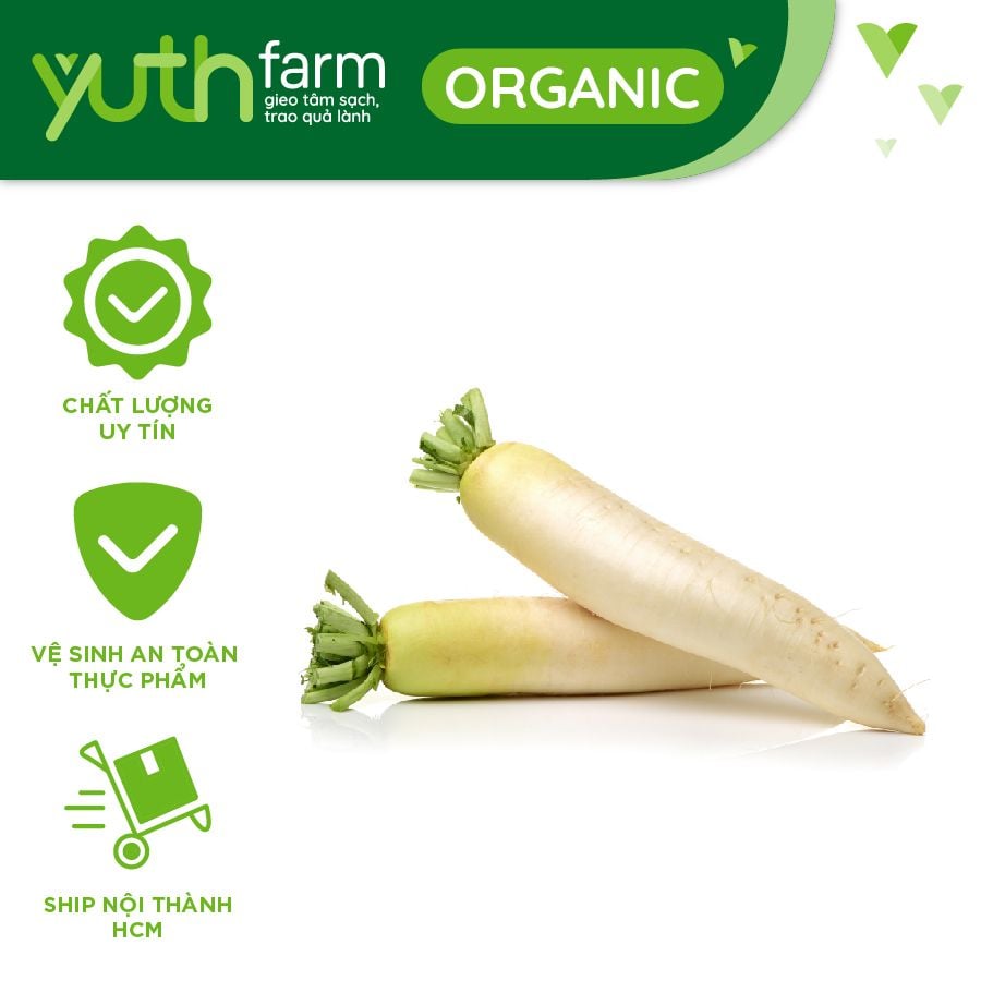  Củ cải trắng dài [Giao trong TP. Hồ Chí Minh; Trừ Cần Giờ, Hóc Môn, Củ Chi] 