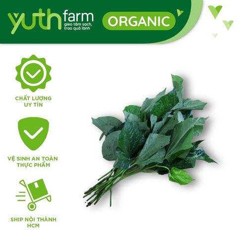  Lá lốt [Giao trong TP. Hồ Chí Minh; Trừ Cần Giờ, Hóc Môn, Củ Chi] 