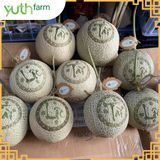  Dưa lưới khắc chữ (Mã tết) [Giao trong TP. Hồ Chí Minh; Trừ Cần Giờ, Hóc Môn, Củ Chi] 