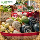  Xoài khắc chữ (Mã tết) [Giao trong TP. Hồ Chí Minh; Trừ Cần Giờ, Hóc Môn, Củ Chi] 