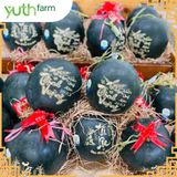  Dưa hấu khắc chữ (Mã Tết) [Giao trong TP. Hồ Chí Minh; Trừ Cần Giờ, Hóc Môn, Củ Chi] 