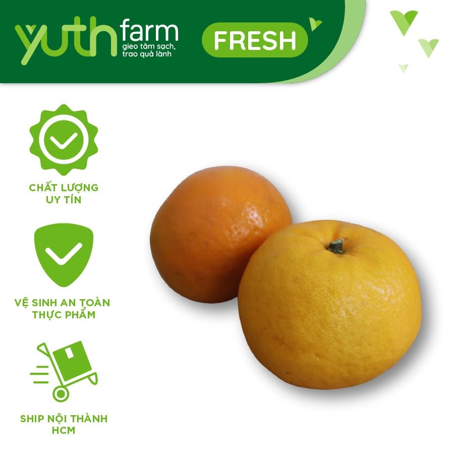  Quýt canh [Giao trong TP. Hồ Chí Minh; Trừ Cần Giờ, Hóc Môn, Củ Chi] 