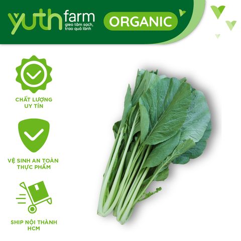  Cải ngọt [Giao trong TP. Hồ Chí Minh; Trừ Cần Giờ, Hóc Môn, Củ Chi] 