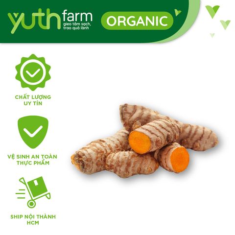  Nghệ [Giao trong TP. Hồ Chí Minh; Trừ Cần Giờ, Hóc Môn, Củ Chi] 