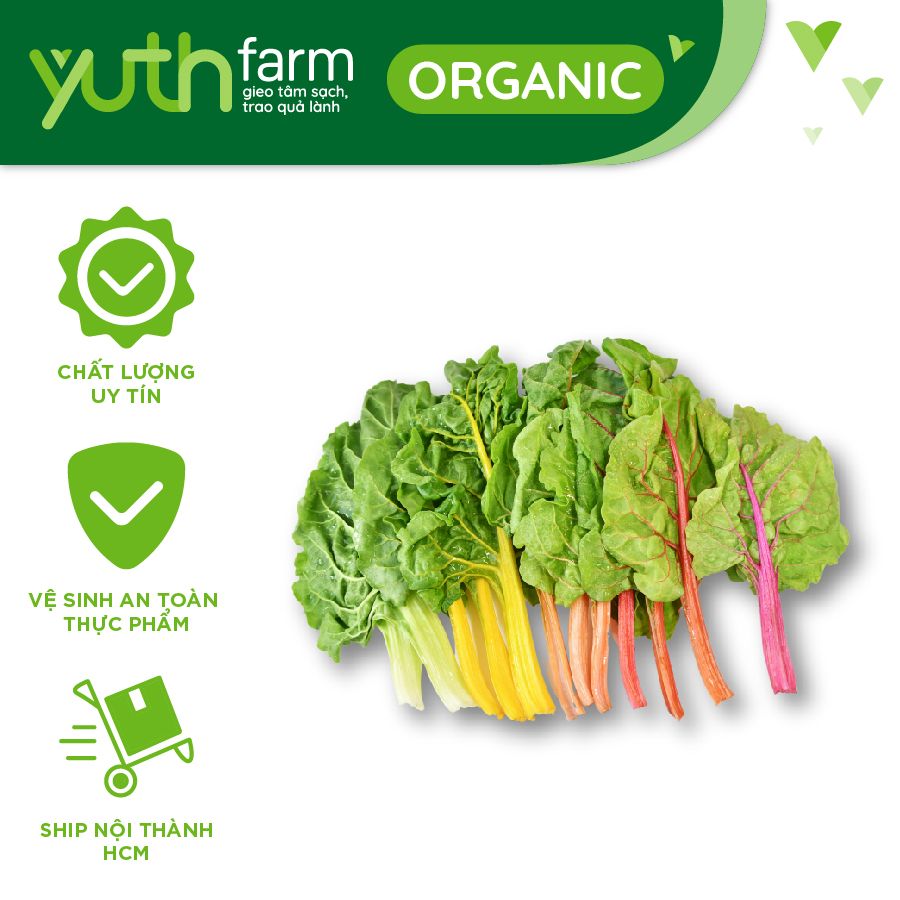  Cải cầu vồng [Giao trong TP. Hồ Chí Minh; Trừ Cần Giờ, Hóc Môn, Củ Chi] 