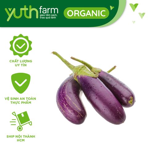  Cà tím [Giao trong TP. Hồ Chí Minh; Trừ Cần Giờ, Hóc Môn, Củ Chi] 