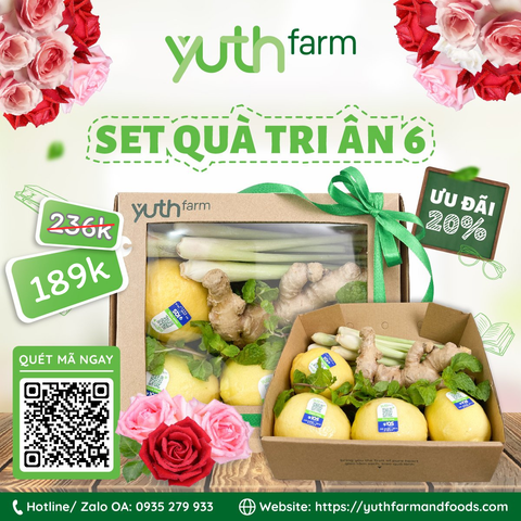  Set quà tri ân 6 [Giao trong TP. Hồ Chí Minh; Trừ Cần Giờ, Hóc Môn, Củ Chi] 