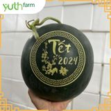  Dưa hấu khắc chữ (Mã Tết) [Giao trong TP. Hồ Chí Minh; Trừ Cần Giờ, Hóc Môn, Củ Chi] 
