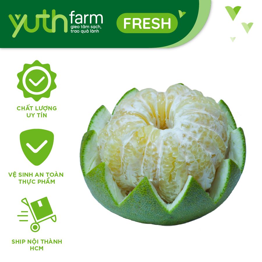  Bưởi 5 roi [Giao trong TP. Hồ Chí Minh; Trừ Cần Giờ, Hóc Môn, Củ Chi] 