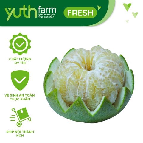  Bưởi 5 roi [Giao trong TP. Hồ Chí Minh; Trừ Cần Giờ, Hóc Môn, Củ Chi] 