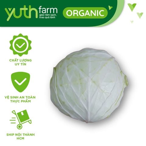  Bắp cải tròn [Giao trong TP.Hồ Chí Minh, Trừ Cần Giờ, Hóc Môn, Củ Chi] 