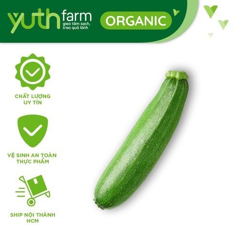  Bí Ngòi [Giao trong TP.Hồ Chí Minh, Trừ Cần Giờ, Hóc Môn, Củ Chi] 