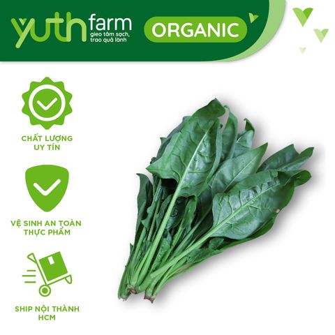  Cải bó xôi [Giao trong TP. Hồ Chí Minh; Trừ Cần Giờ, Hóc Môn, Củ Chi] 