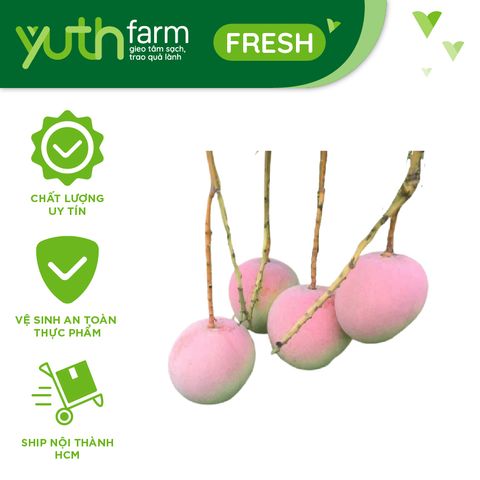  Xoài Úc [Giao trong TP. Hồ Chí Minh; Trừ Cần Giờ, Hóc Môn, Củ Chi] 