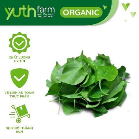  Lá Giang [Giao trong TP. Hồ Chí Minh; Trừ Cần Giờ, Hóc Môn, Củ Chi] 