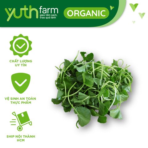  Rau má [Giao trong TP. Hồ Chí Minh; Trừ Cần Giờ, Hóc Môn, Củ Chi] 