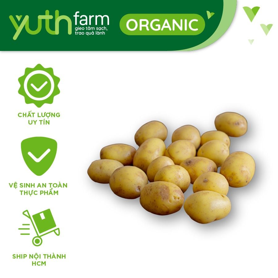  Khoai tây bi [Giao trong TP. Hồ Chí Minh; Trừ Cần Giờ, Hóc Môn, Củ Chi] 