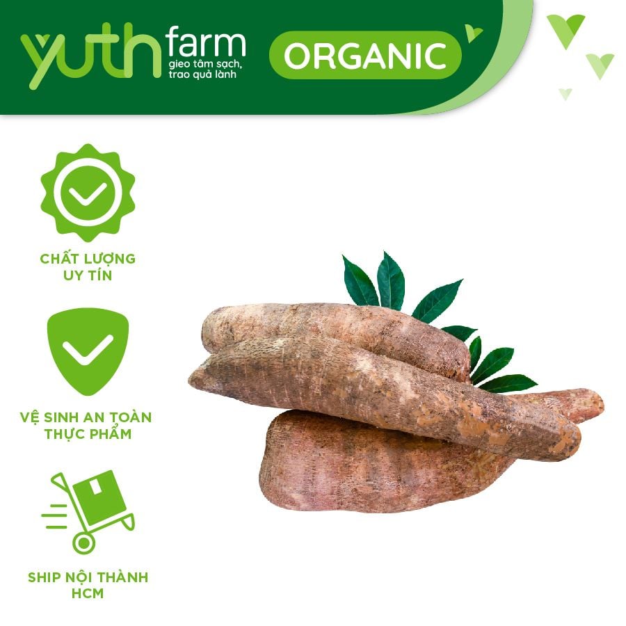  Khoai mì [Giao trong TP. Hồ Chí Minh; Trừ Cần Giờ, Hóc Môn, Củ Chi] 