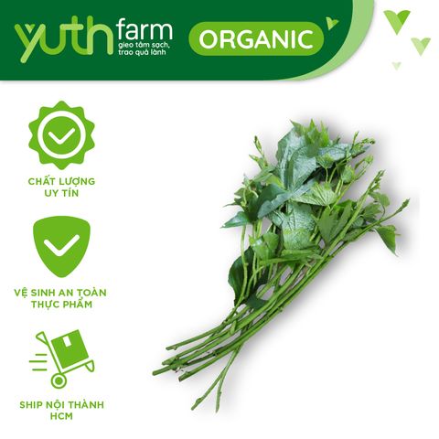  Đọt lang [Giao trong TP. Hồ Chí Minh; Trừ Cần Giờ, Hóc Môn, Củ Chi] 