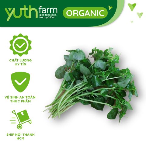  Rau Càng Cua [Giao trong TP. Hồ Chí Minh; Trừ Cần Giờ, Hóc Môn, Củ Chi] 