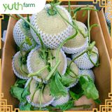  Dưa lưới khắc chữ (Mã tết) [Giao trong TP. Hồ Chí Minh; Trừ Cần Giờ, Hóc Môn, Củ Chi] 