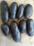  Khoai tây tím Mỹ 