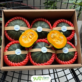  Bí hạt dẻ giống Hàn Quốc 