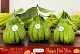  Phật thủ (Mã tết) [Giao trong TP. Hồ Chí Minh; Trừ Cần Giờ, Hóc Môn, Củ Chi] 