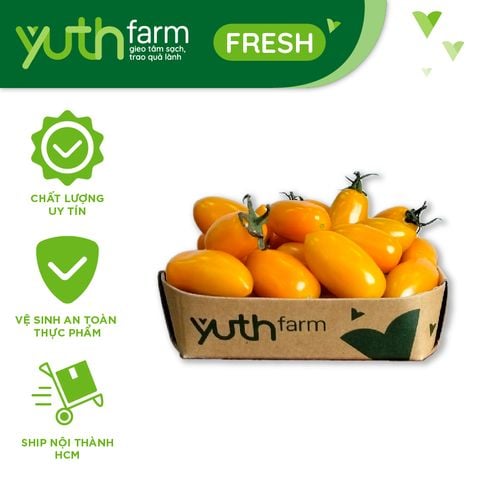  Cà chua trái cây Nova [Giao trong TP. Hồ Chí Minh; Trừ Cần Giờ, Hóc Môn, Củ Chi] 