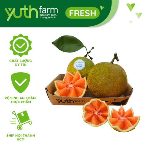  Cam Cara [Giao trong TP. Hồ Chí Minh; Trừ Cần Giờ, Hóc Môn, Củ Chi] 