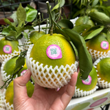  Cam không hạt  ( Cam rốn) 