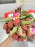  Vải Trứng Thanh Hà 