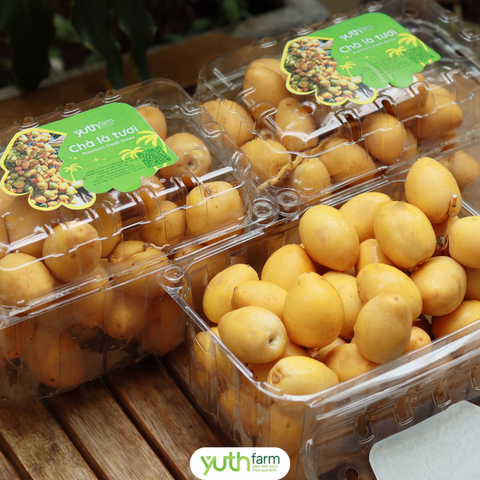  Chà là tươi [Giao trong TP. Hồ Chí Minh; Trừ Cần Giờ, Hóc Môn, Củ Chi] 