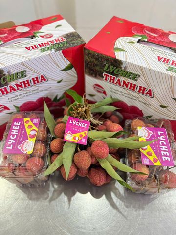  Vải Trứng Thanh Hà 