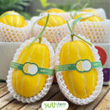  Dưa Lê giống Hàn Quốc (Kg) 