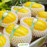  Dưa Lê giống Hàn Quốc (Kg) 