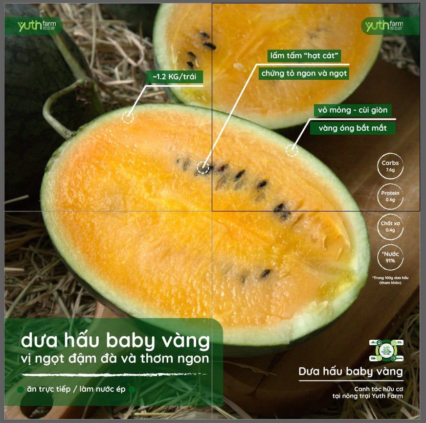  DƯA HẤU BABY RUỘT VÀNG (kg) 