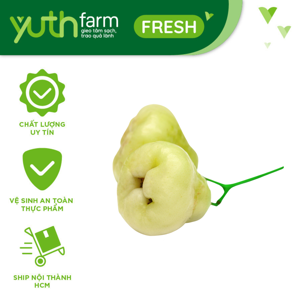  Mận Thái Tam Hoa Xanh [Giao trong TP. Hồ Chí Minh; Trừ Cần Giờ, Hóc Môn, Củ Chi] 