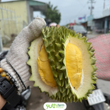  Sầu Riêng Musang King 