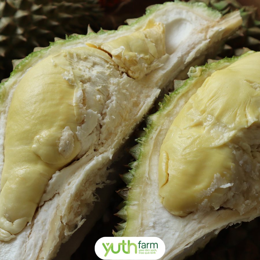  Sầu Riêng Thái 