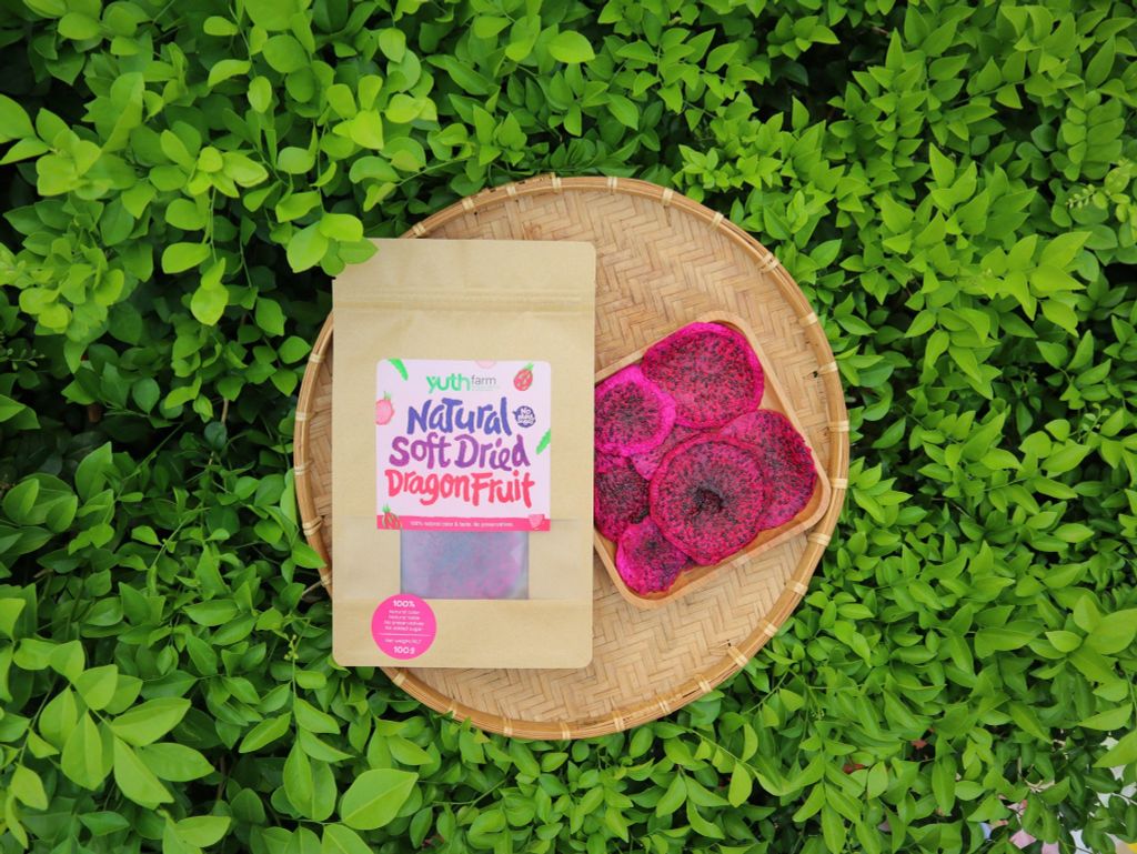  Thanh long sấy dẻo [Giao hàng toàn quốc] 