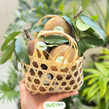  Hồng Xiêm Mexico 