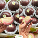  Vú sữa Mica 