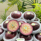  Vú sữa Mica 