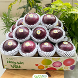  Vú sữa Mica 