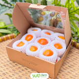  Măng cụt vàng 
